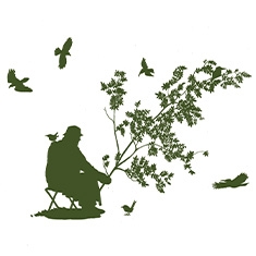 Ce que m’ont dit les oiseaux