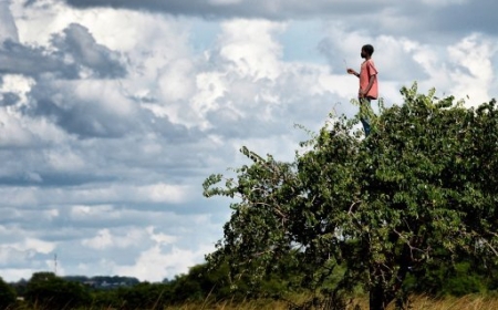 Printemps des Poètes