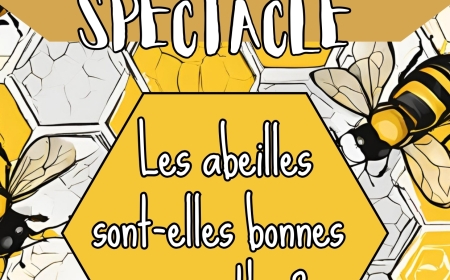 LES ABEILLES SONT-ELLES BONNES EN MATHS ?