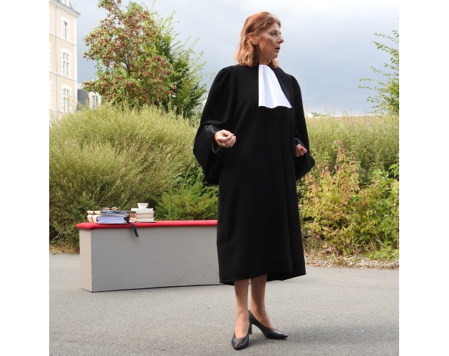 Gisèle Halimi, Défendre !